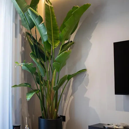 Apartment Ohayo Loft Taranto